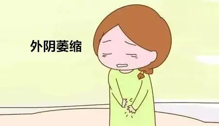 外阴白斑科普阅读配图